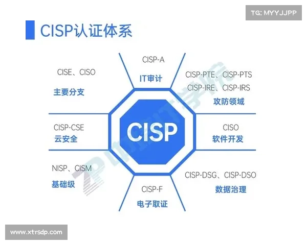 五个每位首席信息安全官 (CISO) 对人工智能的希望与担忧 五个每位首席信息安全官 (CISO) 对人工智能的希望与担忧